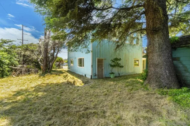a view of a yard covered with trees
