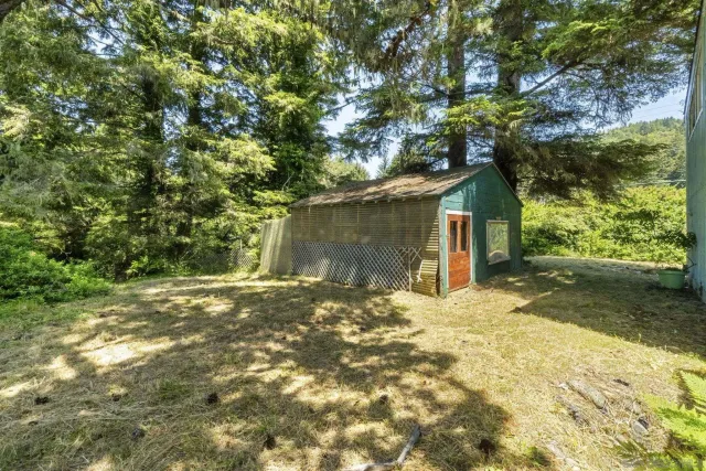a backyard of a house with plants and trees