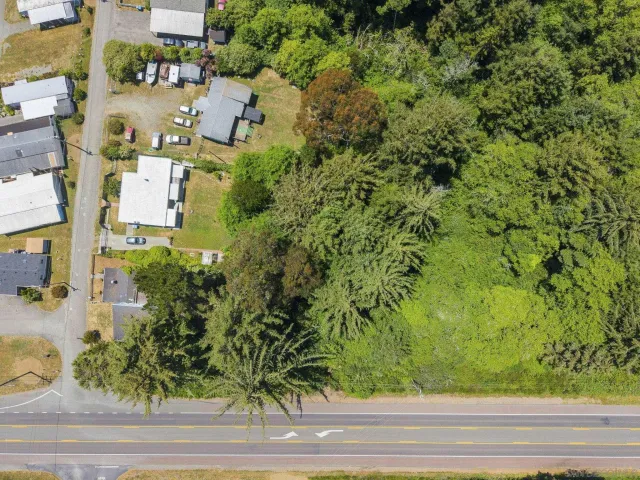 an aerial view of residential houses with outdoor space and trees
