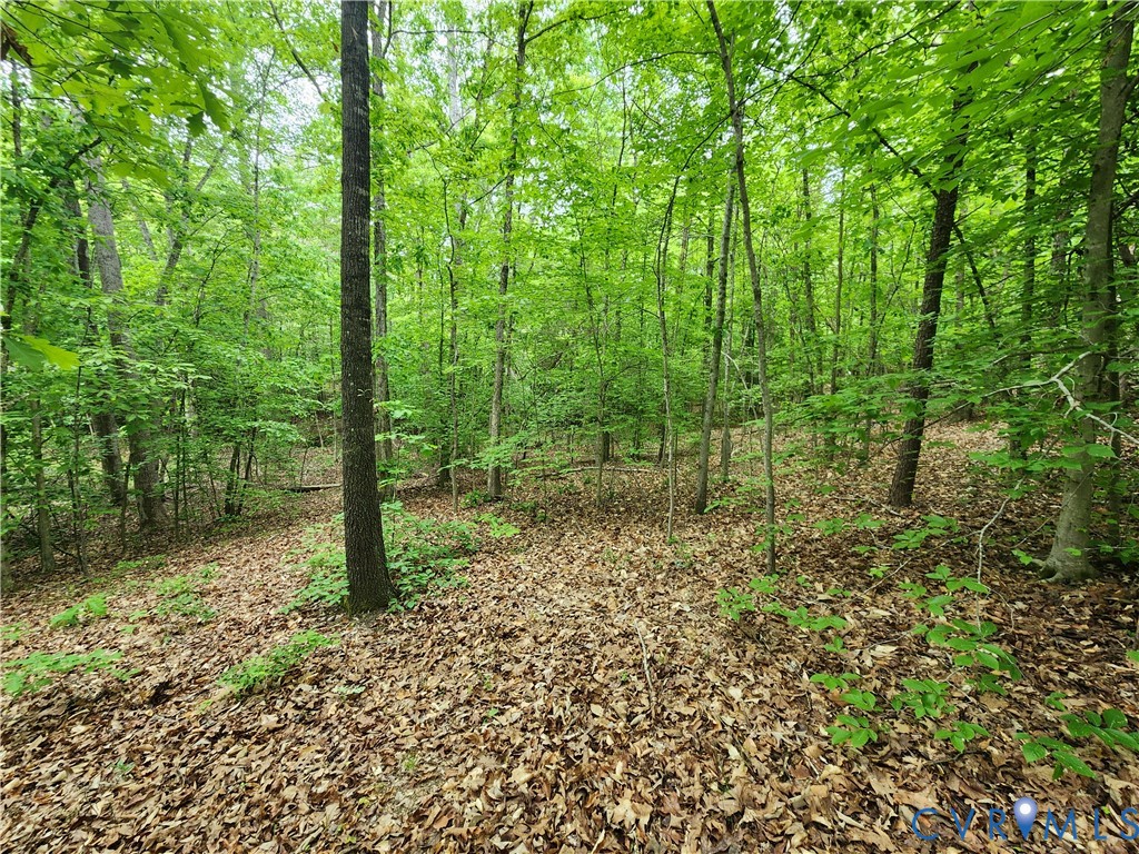 0 Bryants Ford Road Fork Union, VA 23055 - Photo 14 of 14 Thanks for visiting. We hope you call it home!