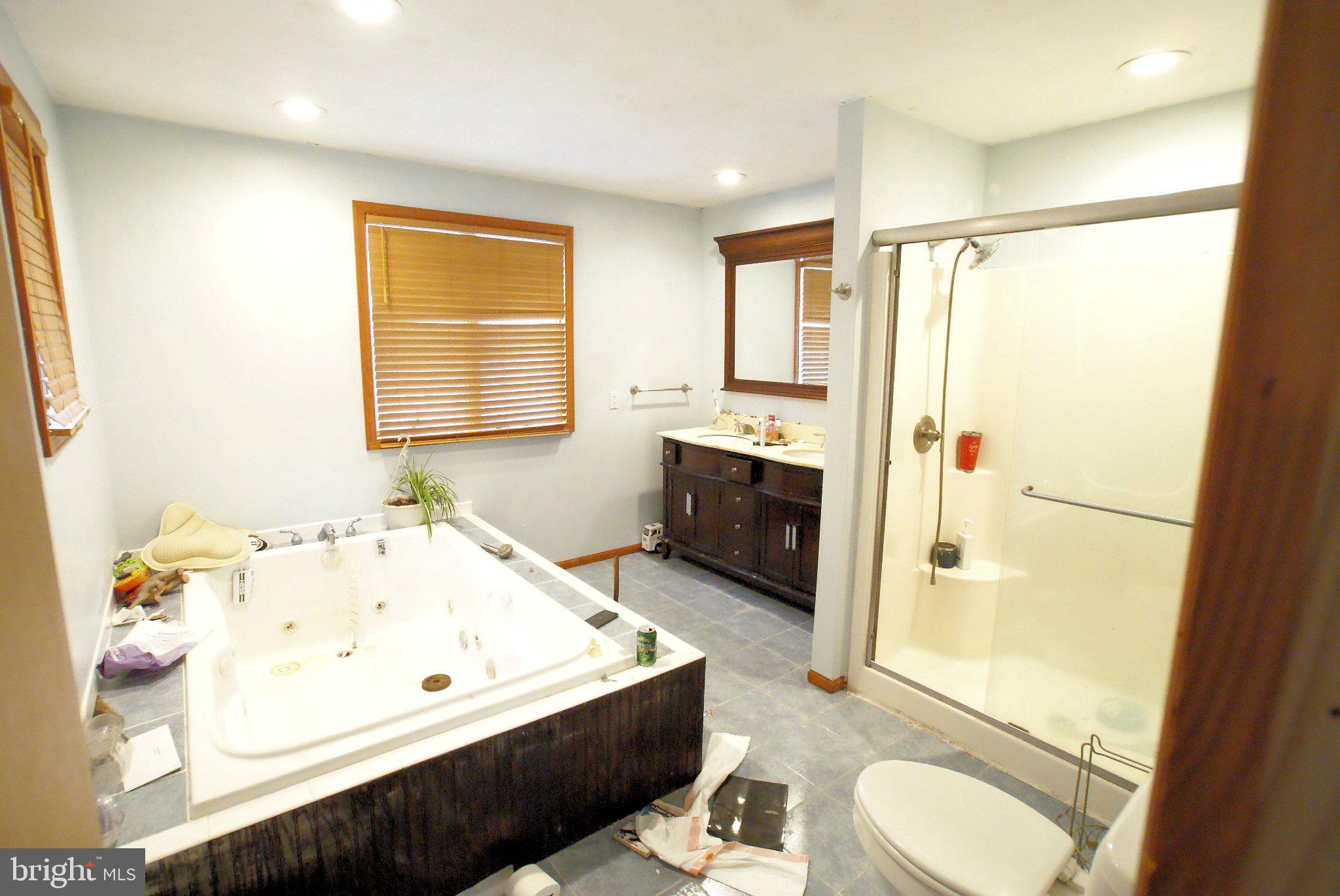 387 Frog Pond Road Little Egg Harbor, NJ 08087 - Photo 16 of 23 a bathroom with a tub sink toilet and mirror