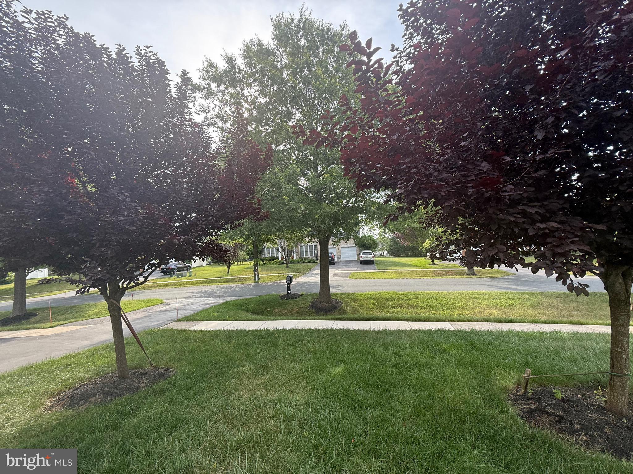 15224 Lions Den Road Burtonsville, MD 20866 - Photo 14 of 28