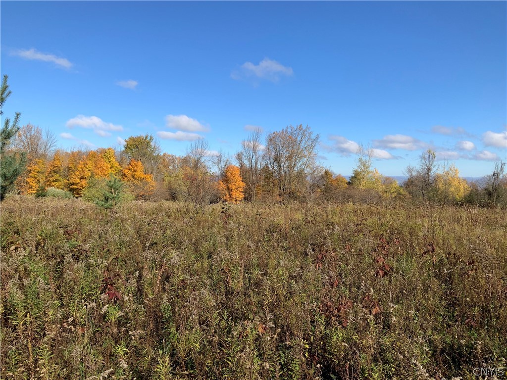 0 Diehl Road Mohawk, NY 13407 - Photo 26 of 49
