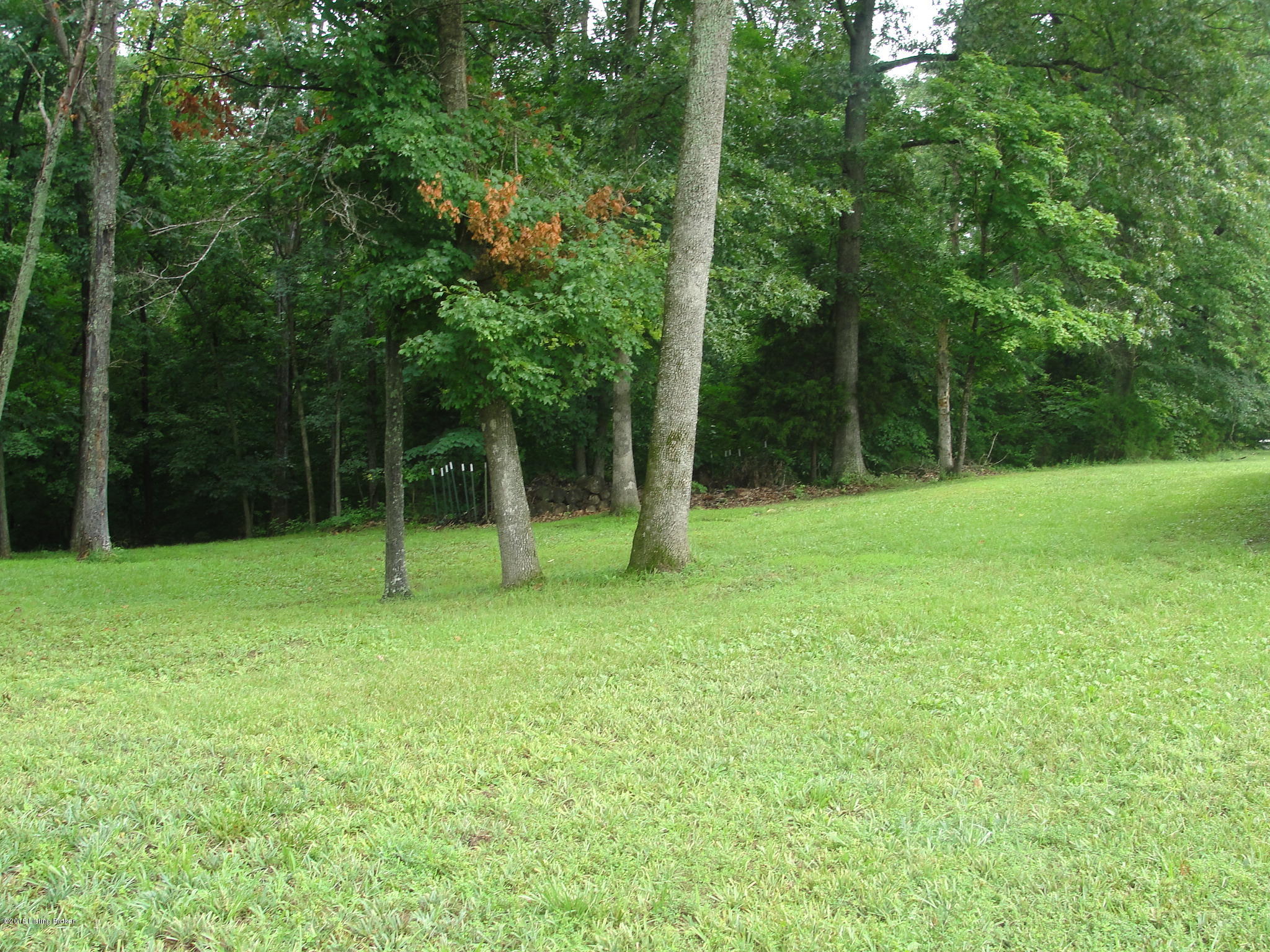 121 Concord Point Road Falls Of Rough, KY 40119 - Photo 11 of 40 013