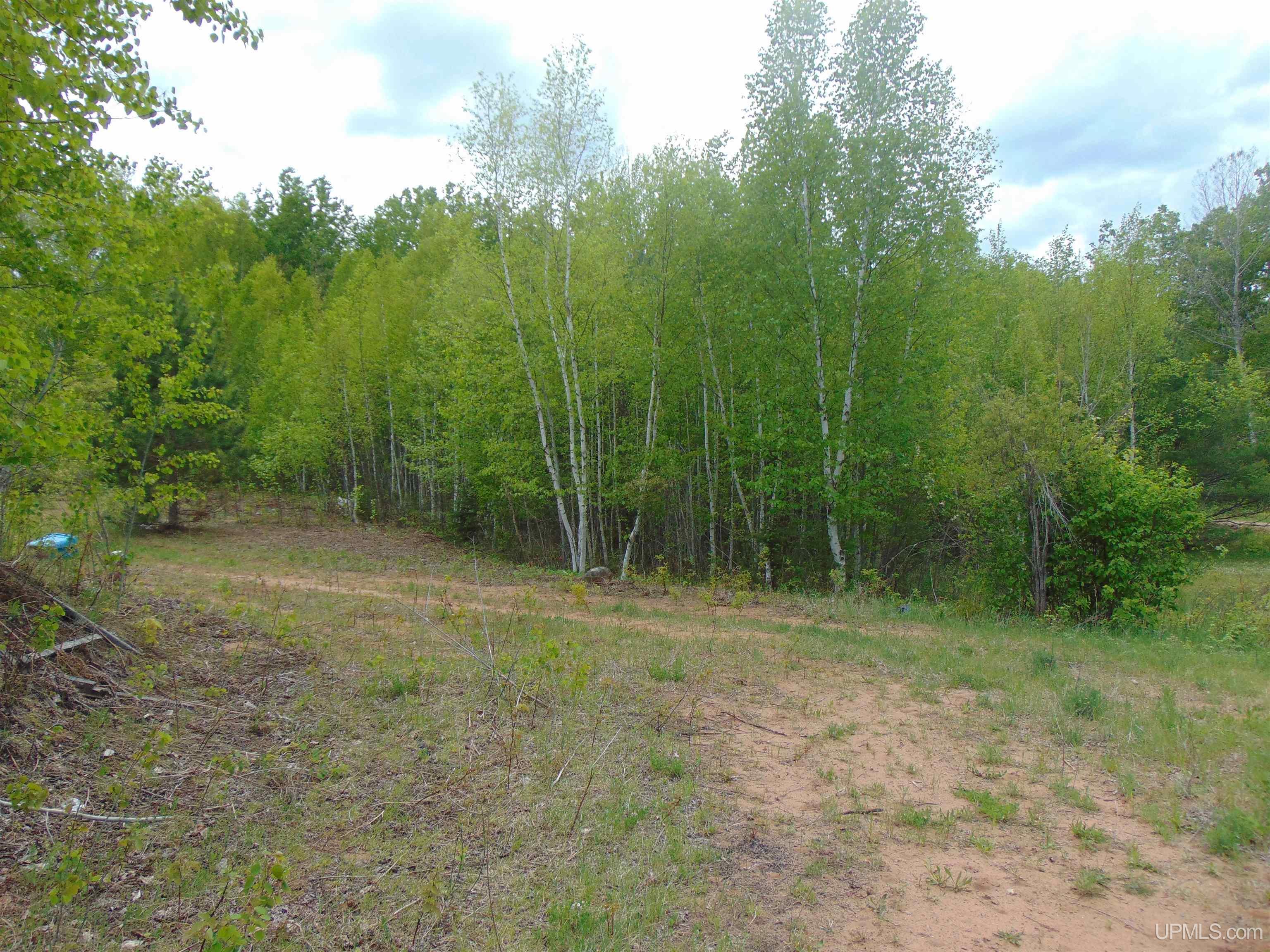 Tbd 1 Off M28 Road Trout Creek, MI 49967 - Photo 14 of 24