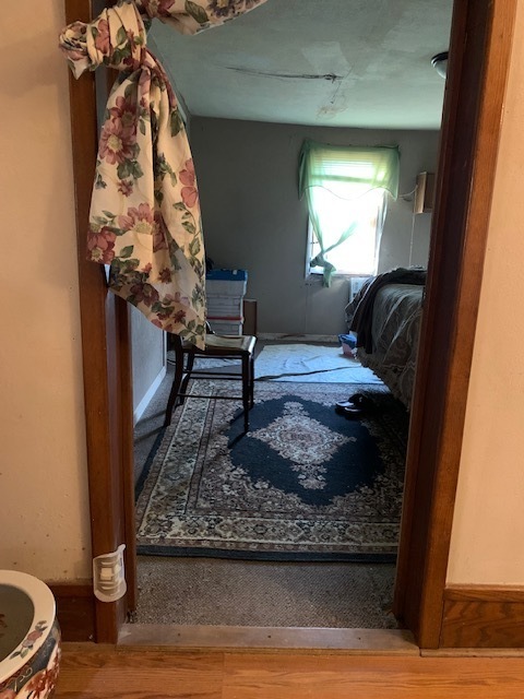 117 Clark Street Chenoa, IL 61726 - Photo 7 of 9 a living room with furniture and a rug