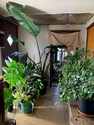 a vase of flowers sitting on a floor