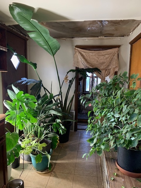 117 Clark Street Chenoa, IL 61726 - Photo 9 of 9 a vase of flowers sitting on a floor