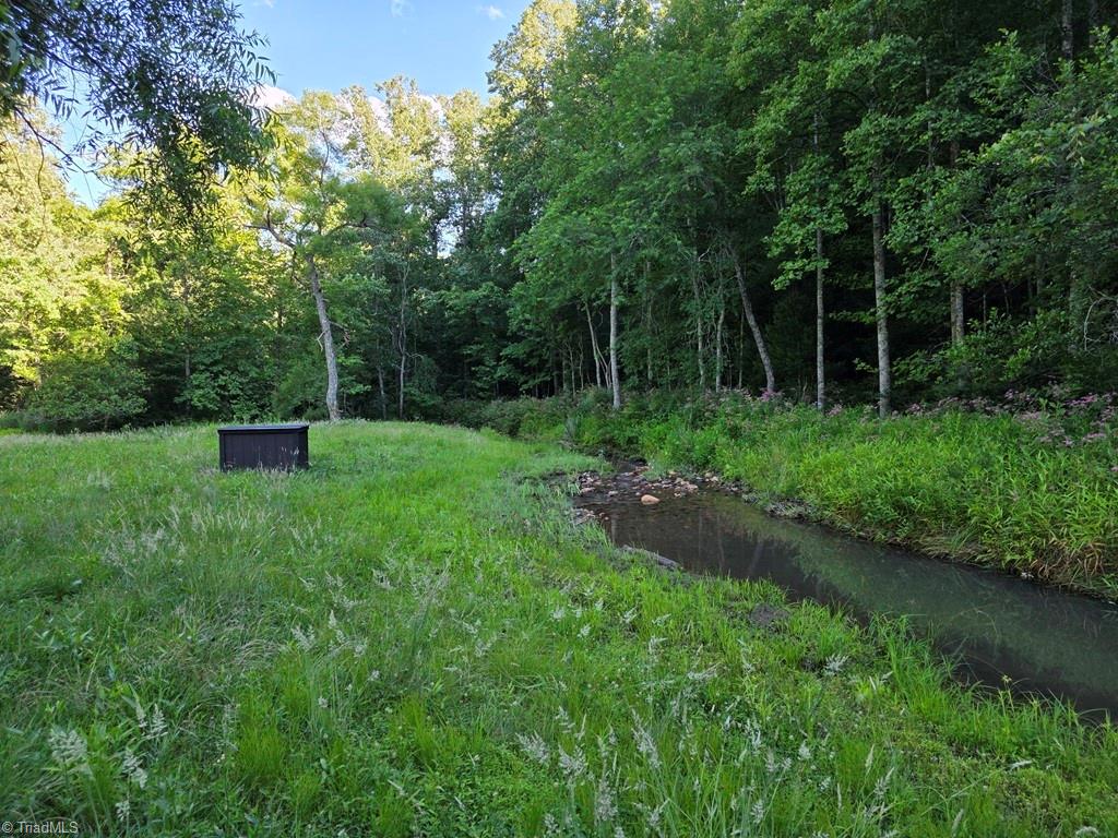 3205 Sheets Gap Road Millers Creek, NC 28651 - Photo 9 of 46