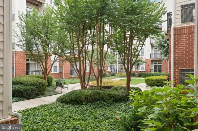 a view of a garden with a tree