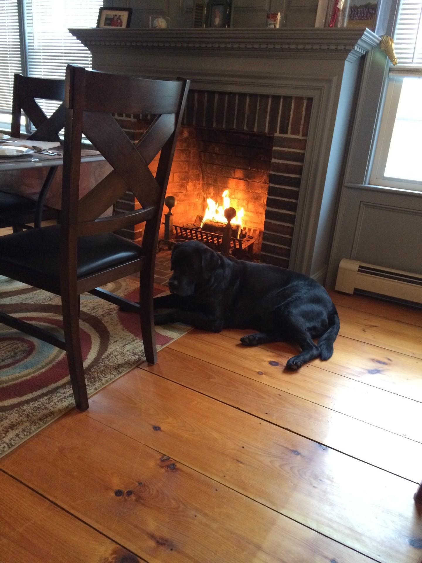 26 Pike Street Epping, NH 03042 - Photo 13 of 27