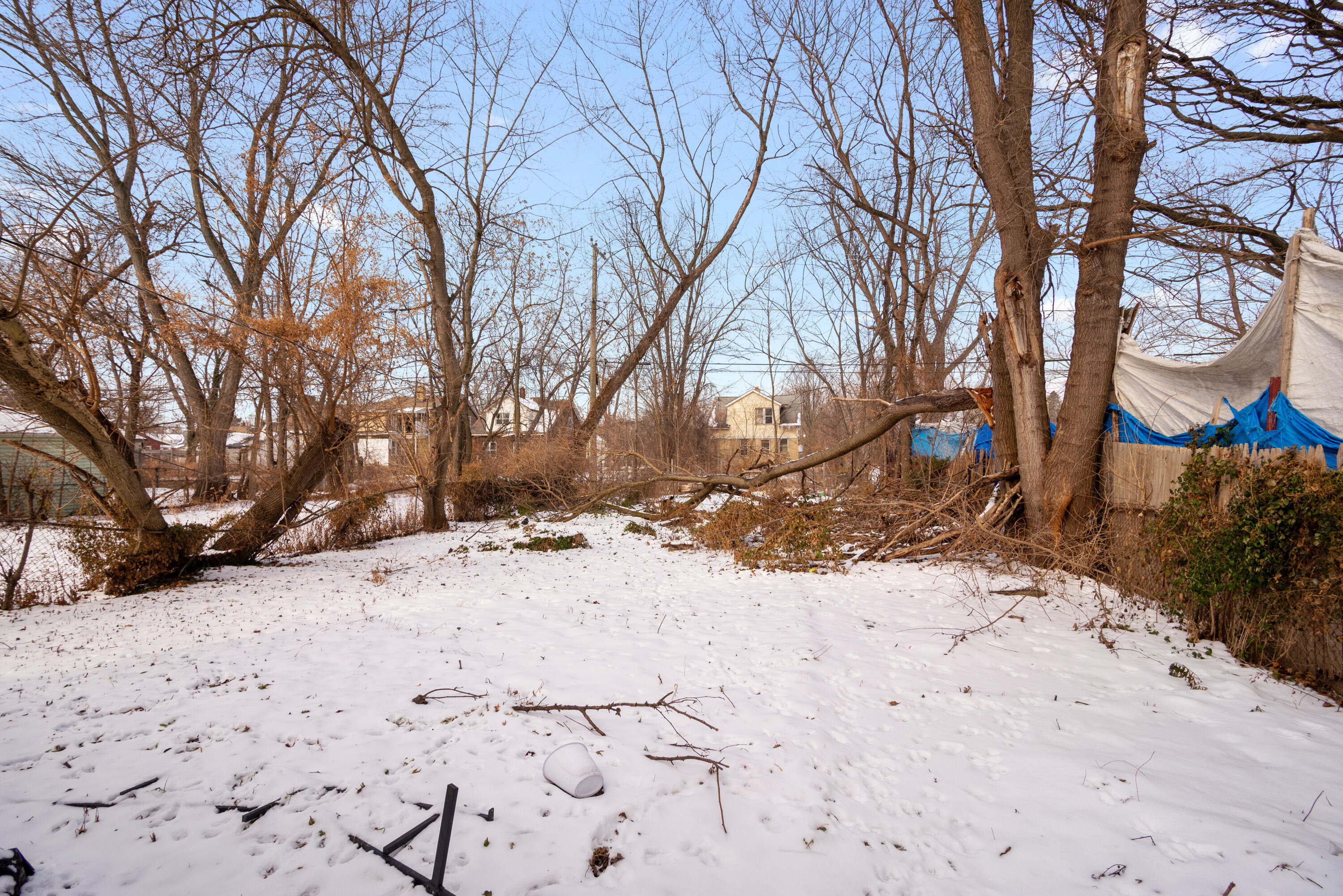 11801 Elmdale Street Detroit, MI 48213 - Photo 18 of 23 23