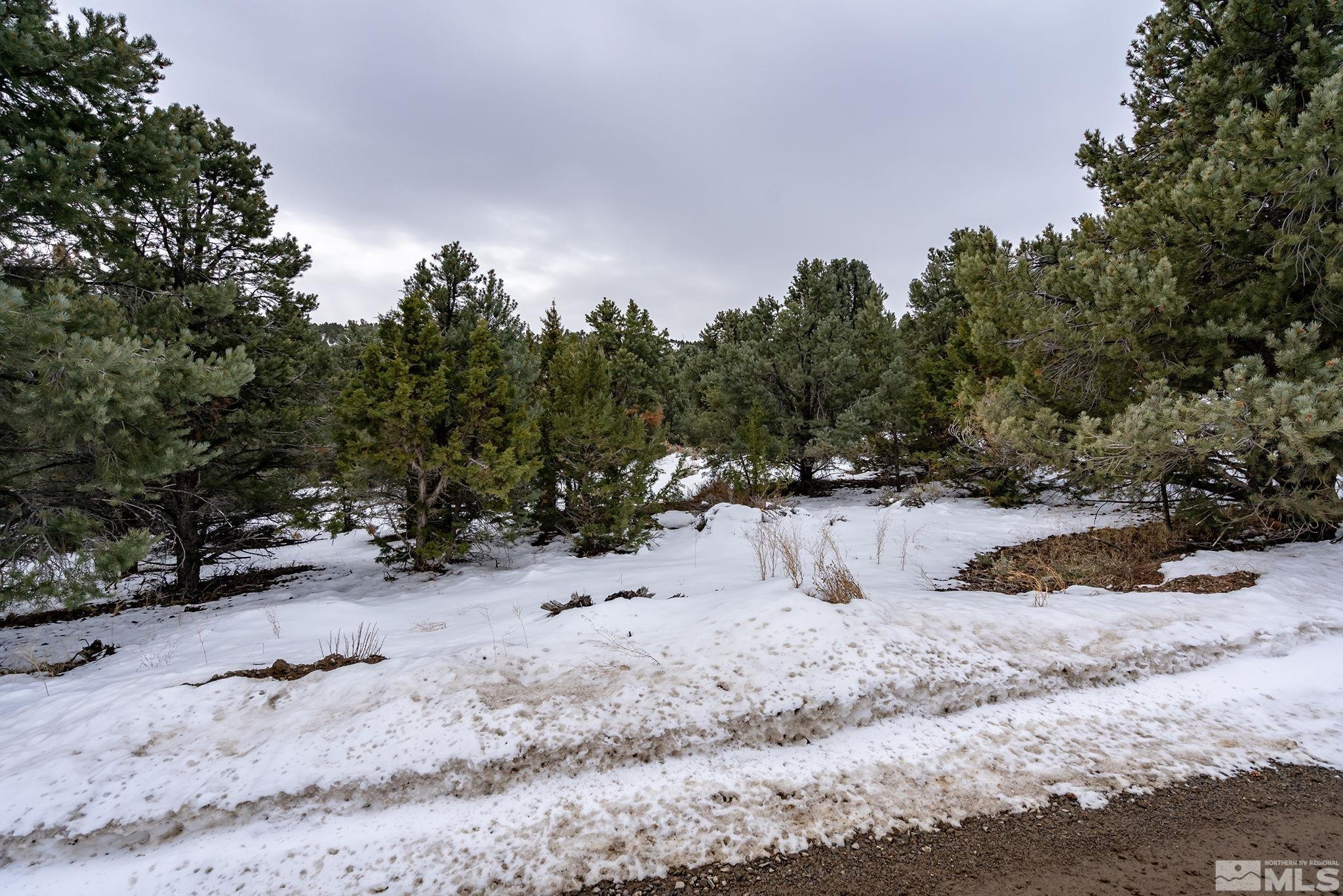 1571-1581 Bonanza Road Reno, NV 89521 - Photo 3 of 10 a view of a covered with snow in the background
