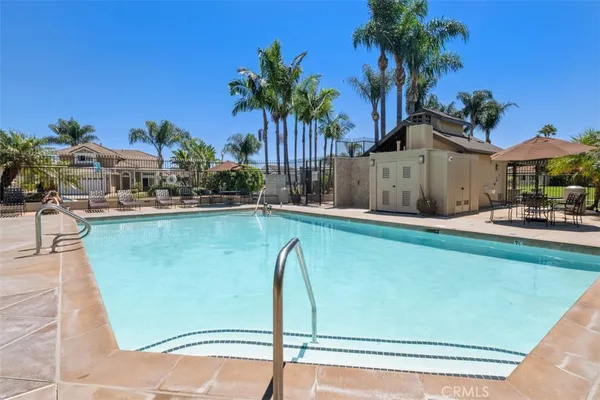 a view of swimming pool with outdoor seating and a palm tree