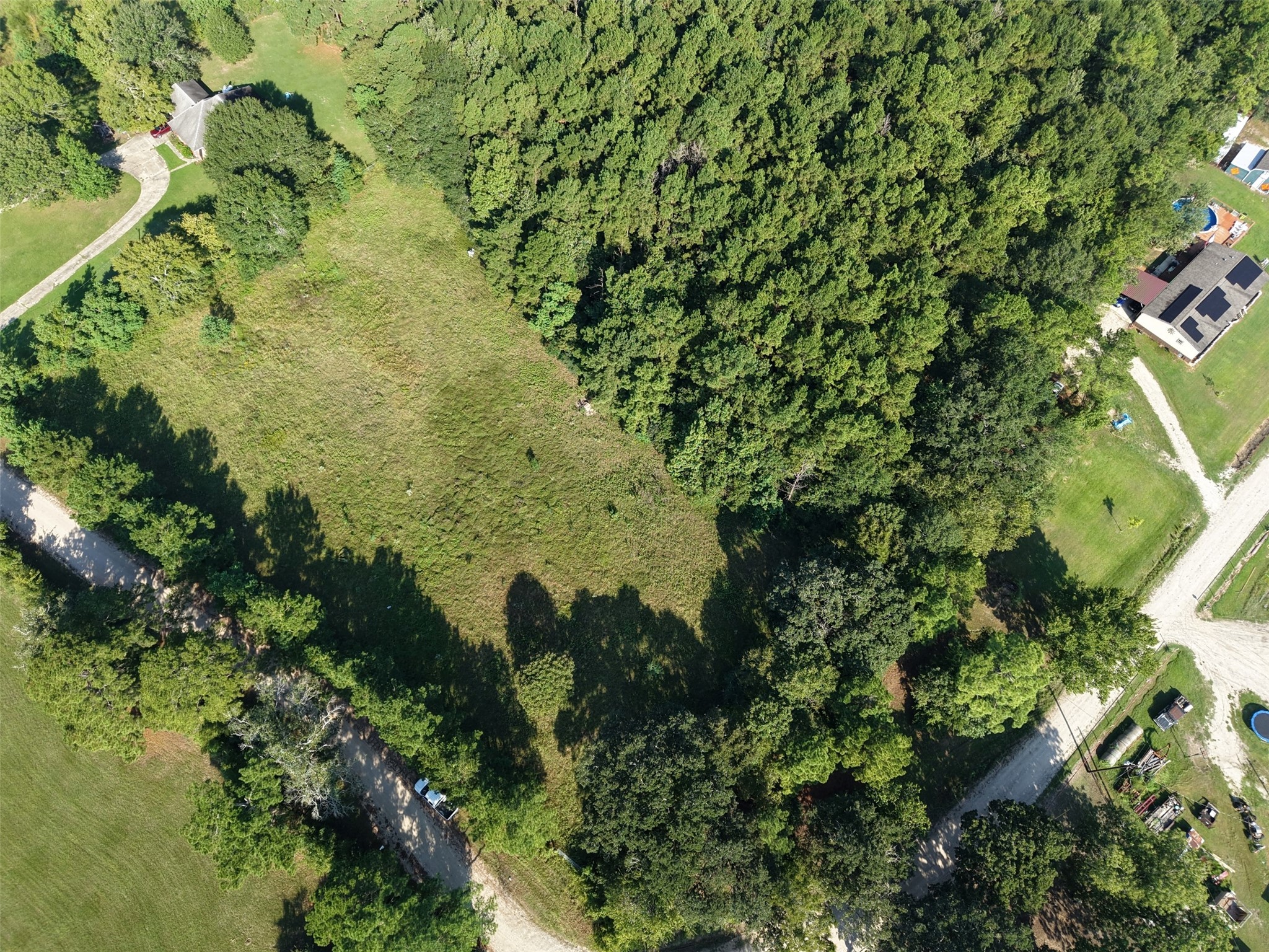 19 Whispering Pines Road New Waverly, TX 77358 - Photo 5 of 9 a plant with lots of trees