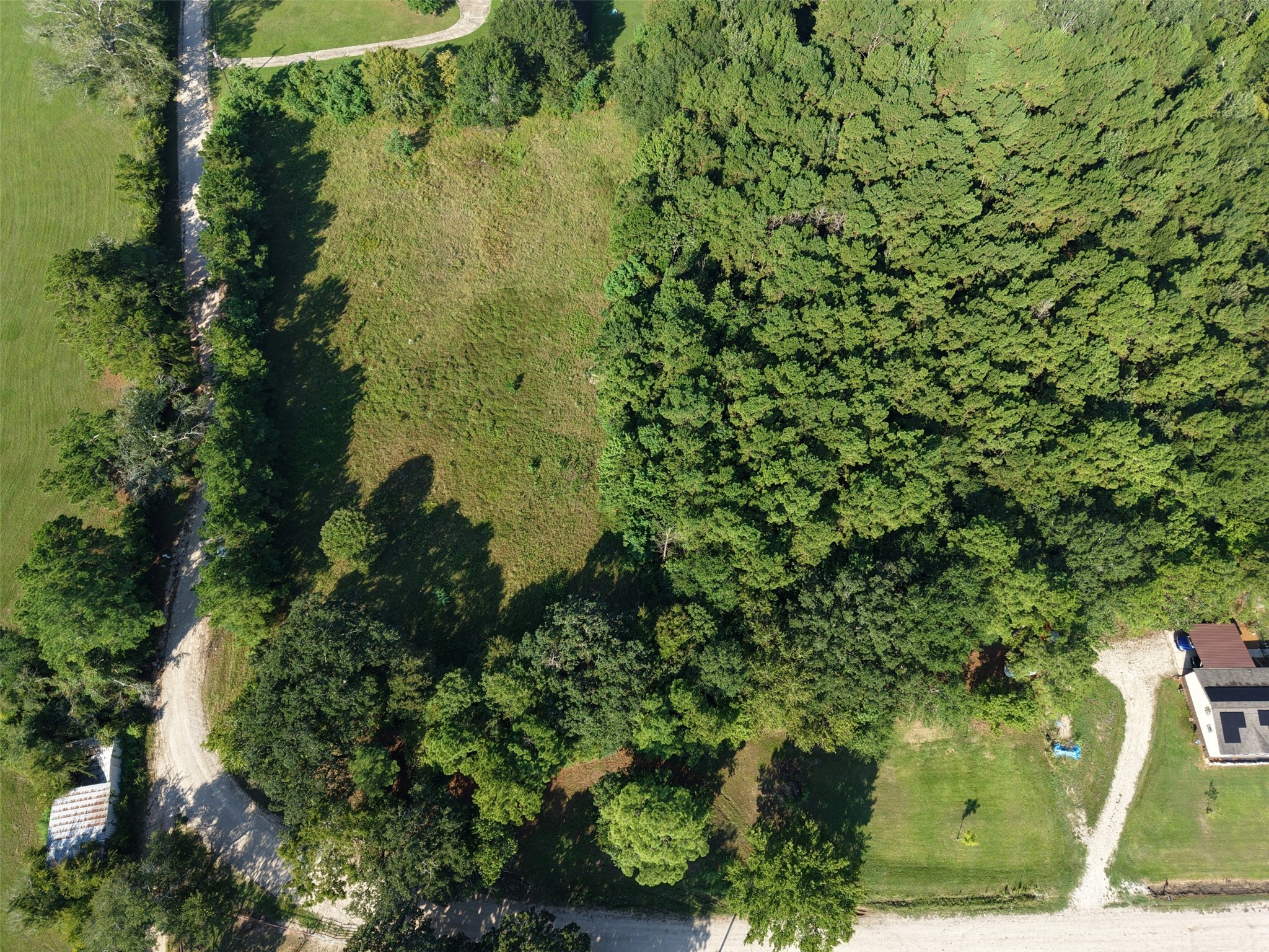 19 Whispering Pines Road New Waverly, TX 77358 - Photo 6 of 9