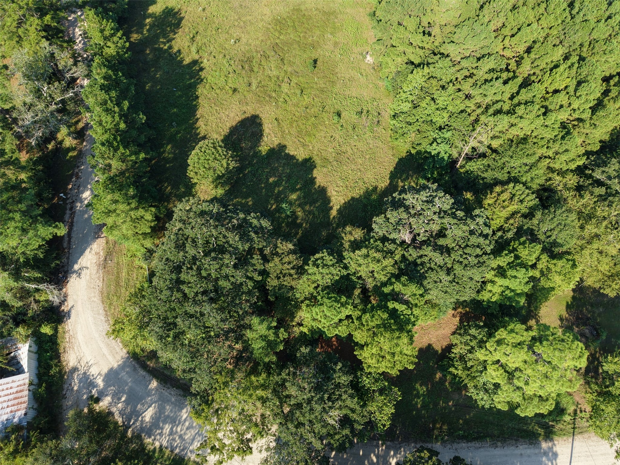 19 Whispering Pines Road New Waverly, TX 77358 - Photo 7 of 9 a view of a garden