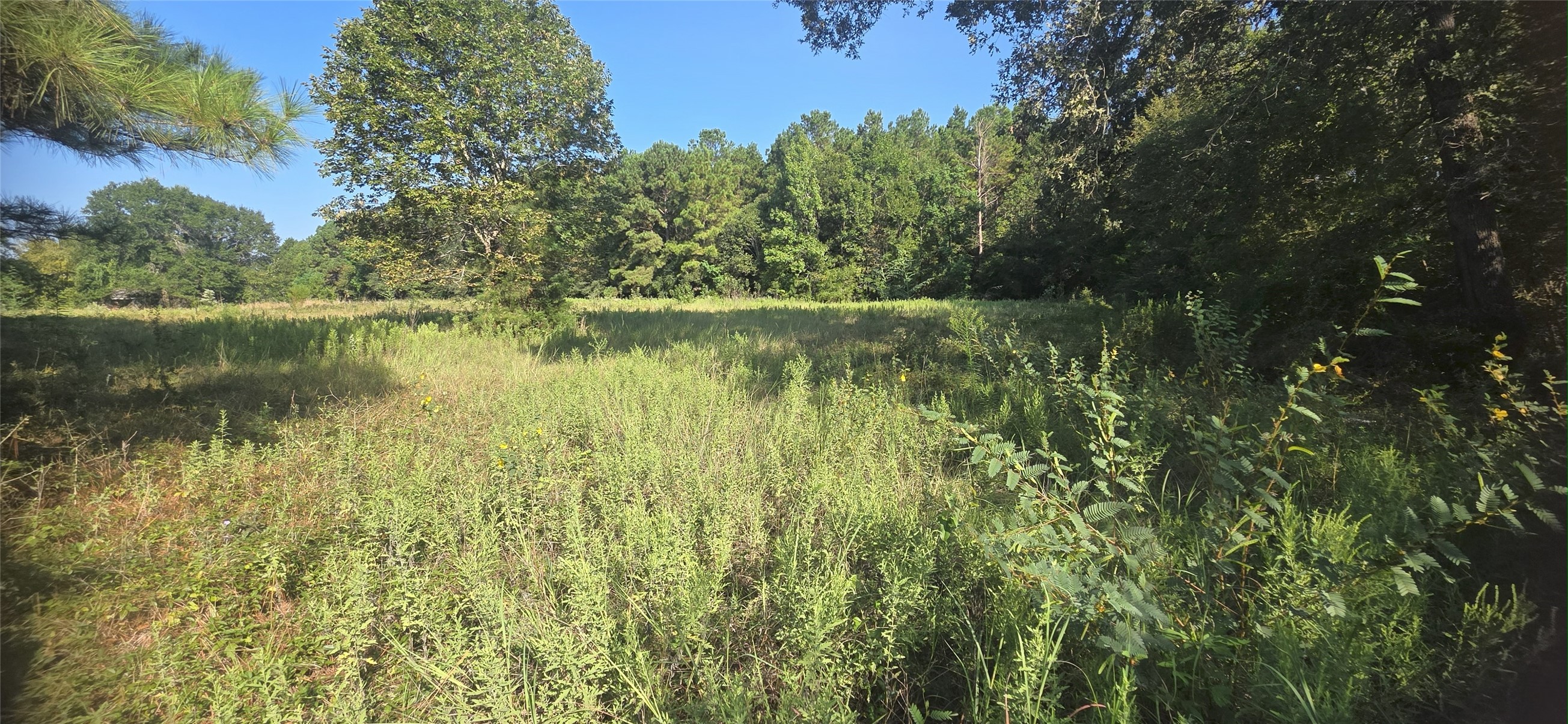 19 Whispering Pines Road New Waverly, TX 77358 - Photo 8 of 9 a view of lake
