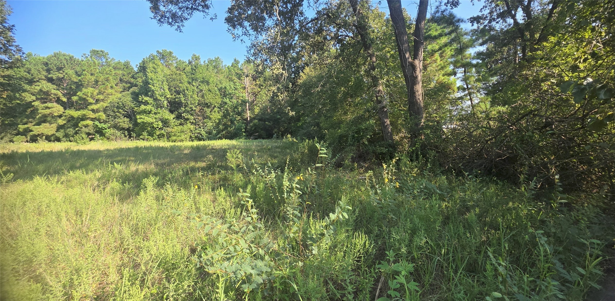 19 Whispering Pines Road New Waverly, TX 77358 - Photo 9 of 9