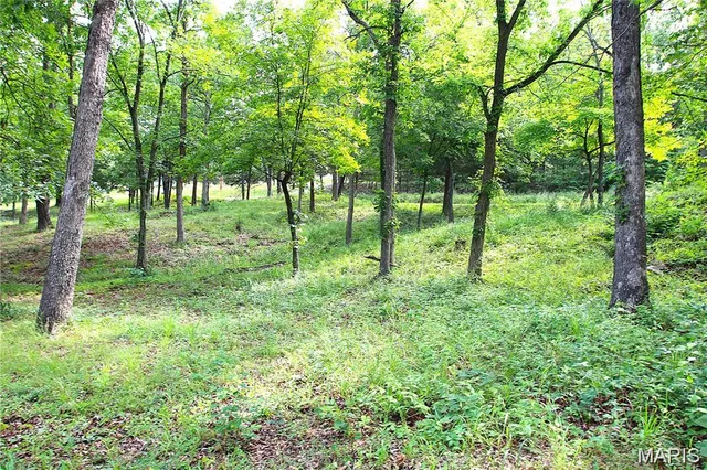 $133,500 | 10174 North North Oriole Drive, Bismarck, MO 63624