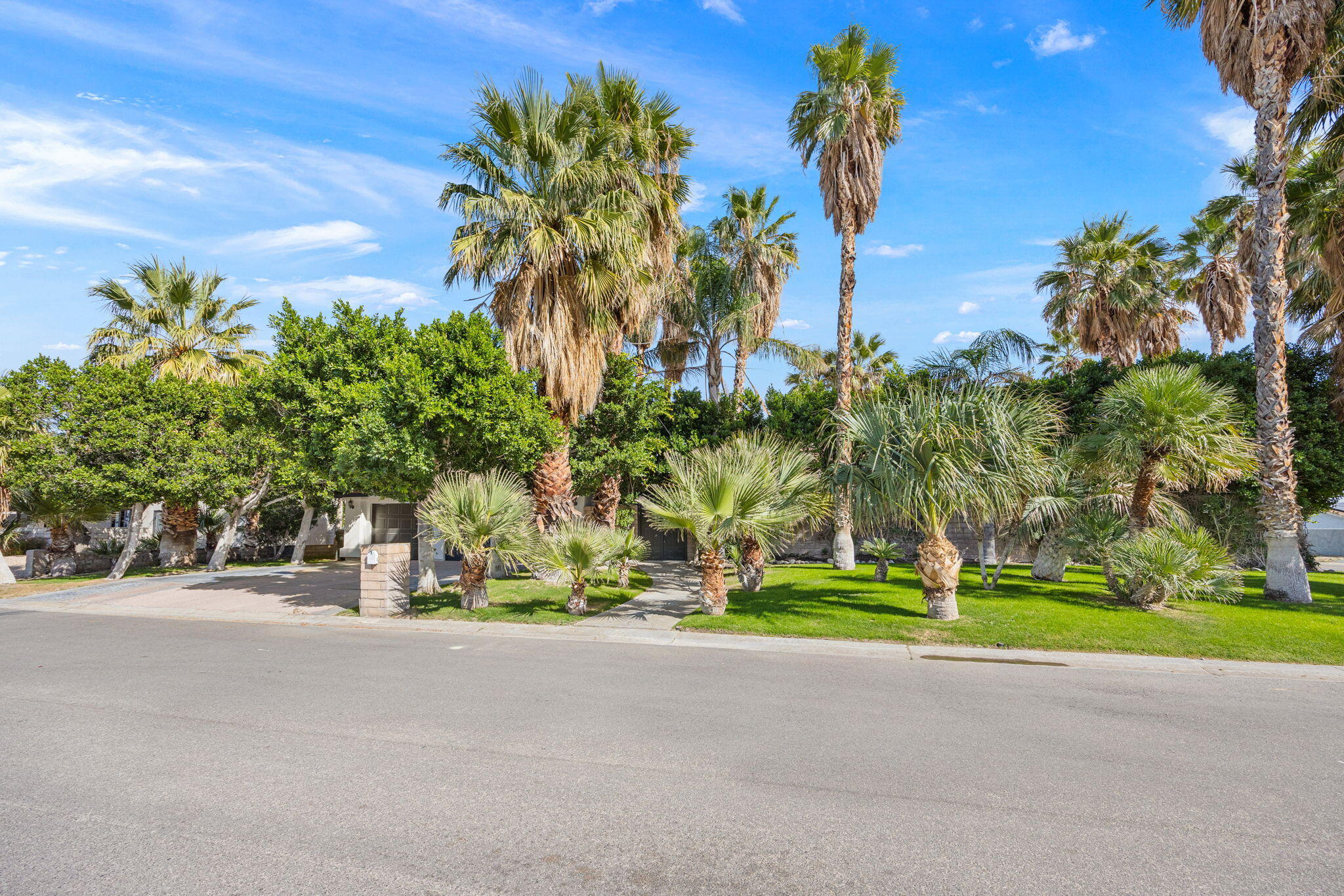 2900 North Cypress Road Palm Springs, CA 92262 - Photo 2 of 48 a front view of a house with a tree and plants
