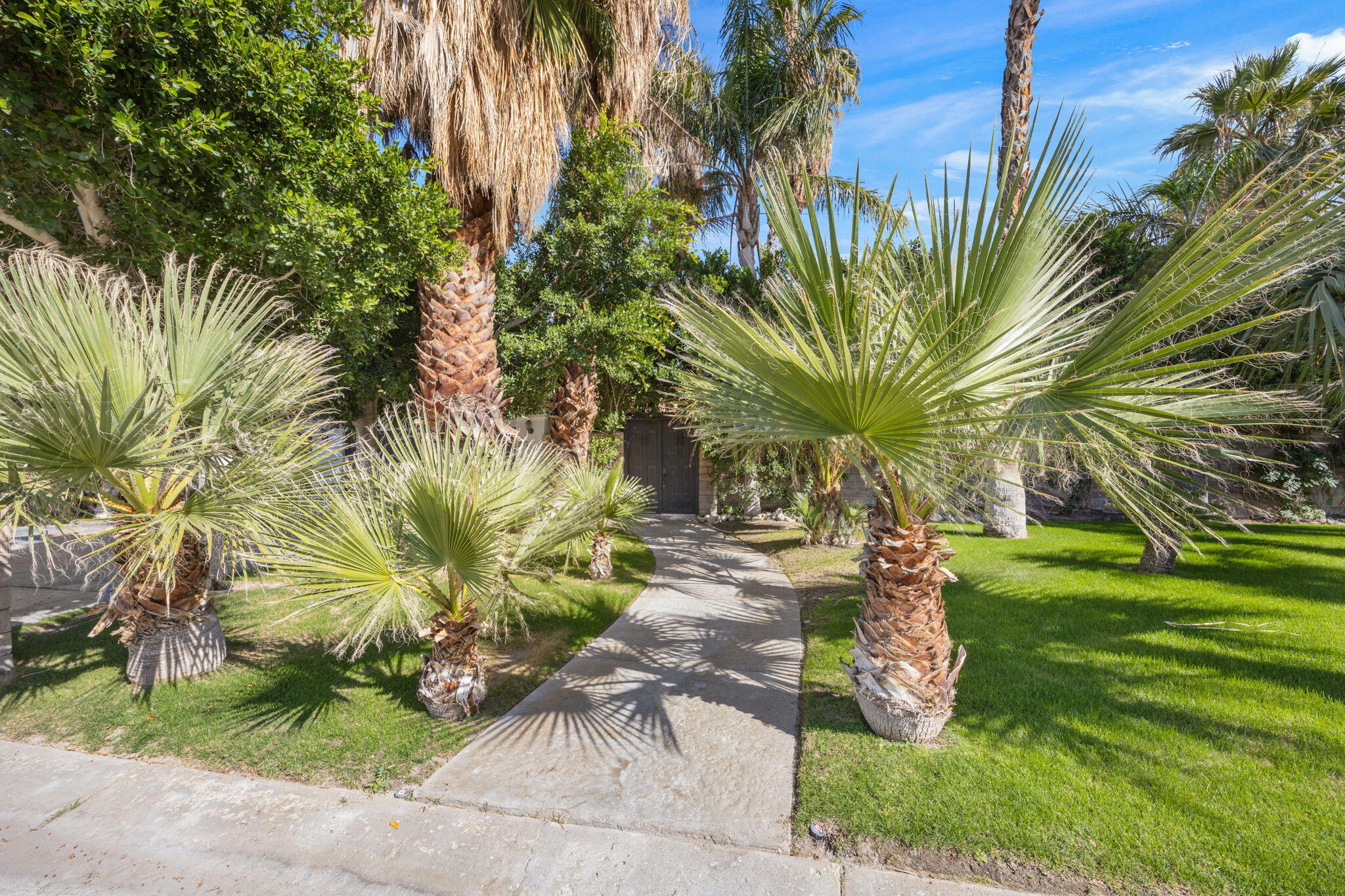 2900 North Cypress Road Palm Springs, CA 92262 - Photo 4 of 48 a view of a yard with plants