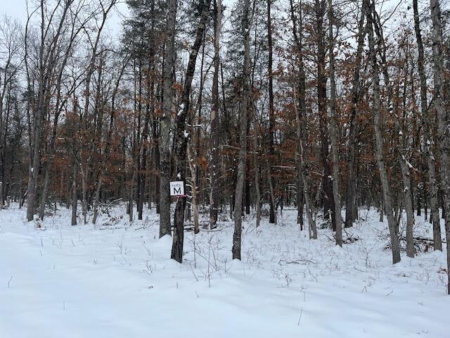 Parcel M South Reid Road Custer, MI 49405 - Photo 1 of 9 Main
