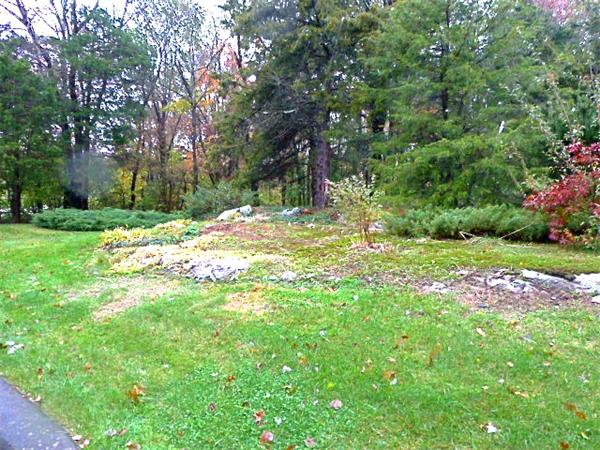 12 Springvale Road Norwood, MA 02062 - Photo 6 of 23 Gallery Image 6