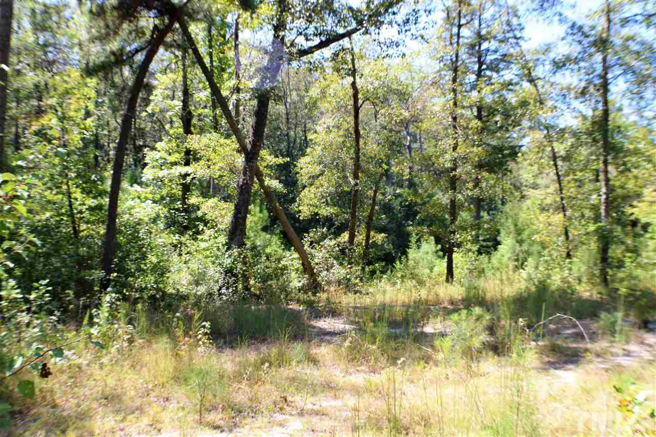 3930 Hillmon Grove Road Cameron, NC 28326 - Photo 8 of 11 Gallery Image 8