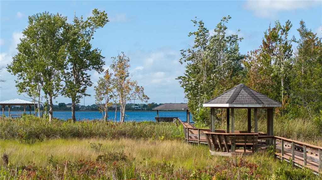 2016 Castelli Boulevard Mount Dora, FL 32757 - Photo 39 of 52 a backyard of a house with yard and lake view