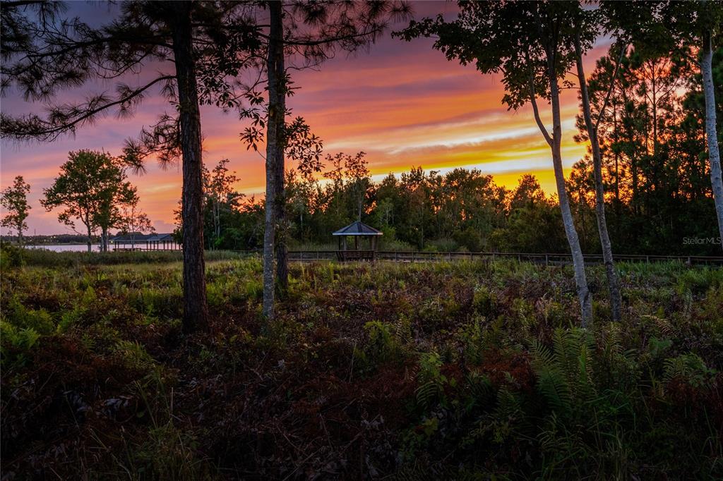 2016 Castelli Boulevard Mount Dora, FL 32757 - Photo 42 of 52 a view of outdoor space and yard