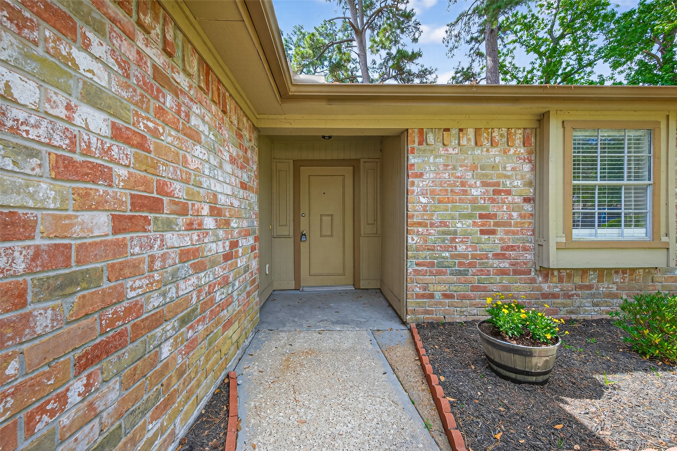 23919 Farm Hill Drive Spring, TX 77373 - Photo 5 of 41 a front view of a house with a potted plant and a window