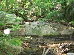1583 Fernwood Road York, SC 29745 - Photo 2 of 4 a view of a forest with a tree