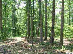 1583 Fernwood Road York, SC 29745 - Photo 3 of 4 a view of outdoor space and trees