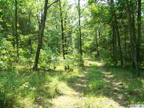 1583 Fernwood Road York, SC 29745 - Photo 4 of 4 a view of forest