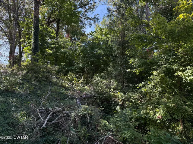 an aerial view of residential house with outdoor space and trees all around