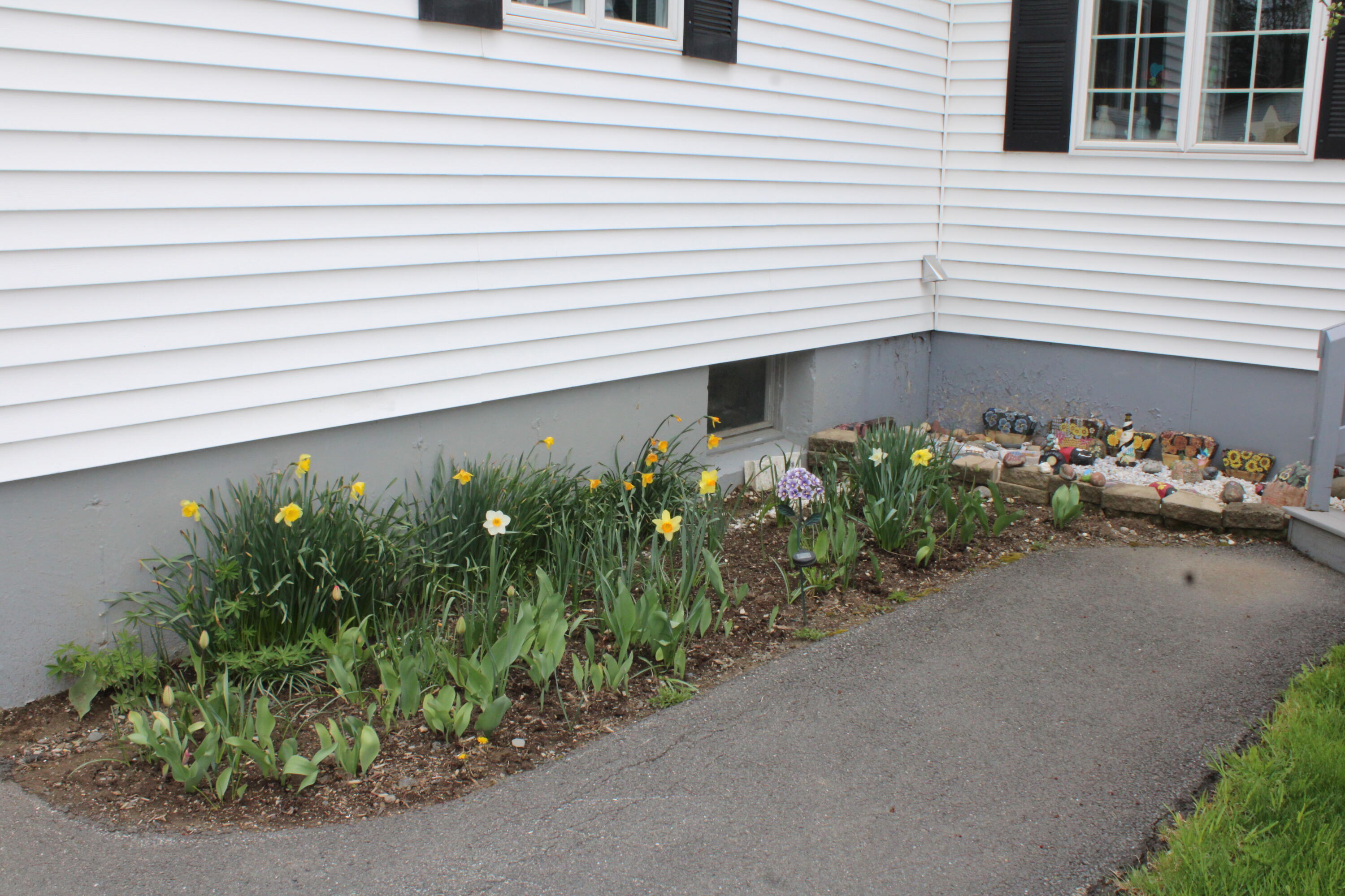 692 Main Street Corinth, ME 04427 - Photo 75 of 90 IMG_0924