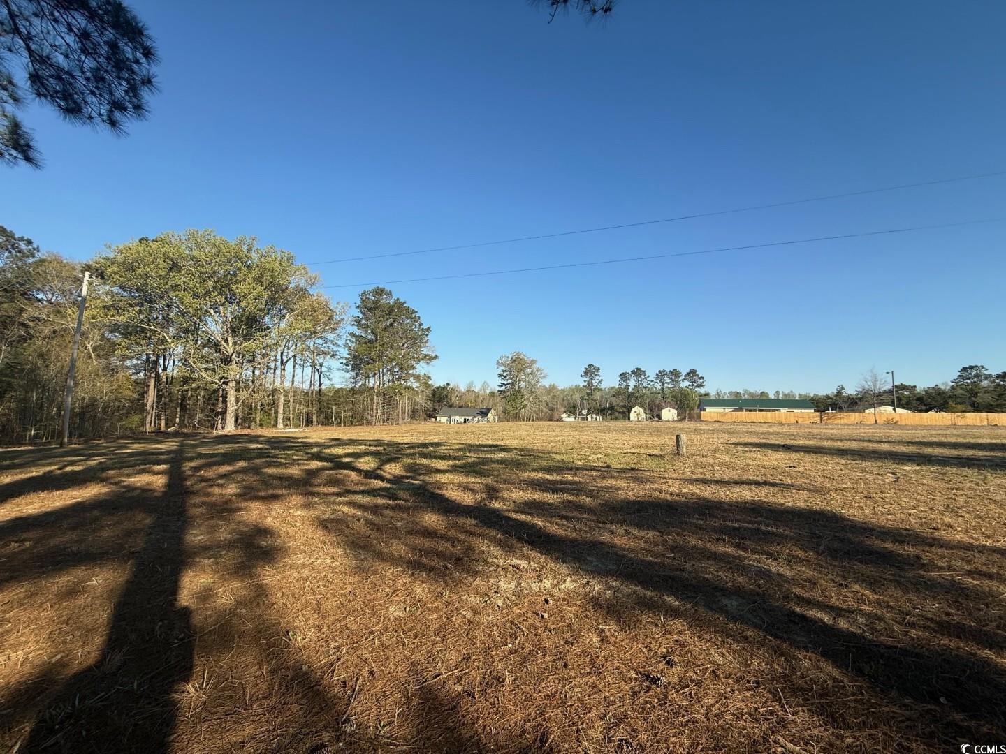 Tbd Pocosin Road Latta, SC 29565 - Photo 2 of 4