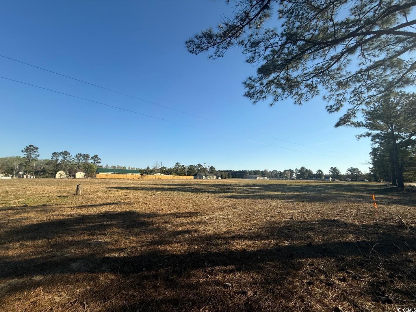 Tbd Pocosin Road Latta, SC 29565 - Photo 3 of 4