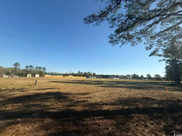 $18,000 | Tbd Pocosin Road, Latta, SC 29565