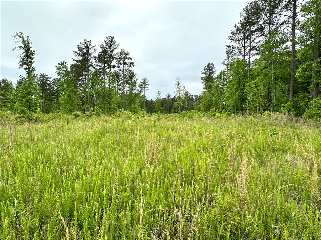 Lot 6 Coffee Road Walhalla, SC 29691 - Photo 2 of 10 Gallery Image 2
