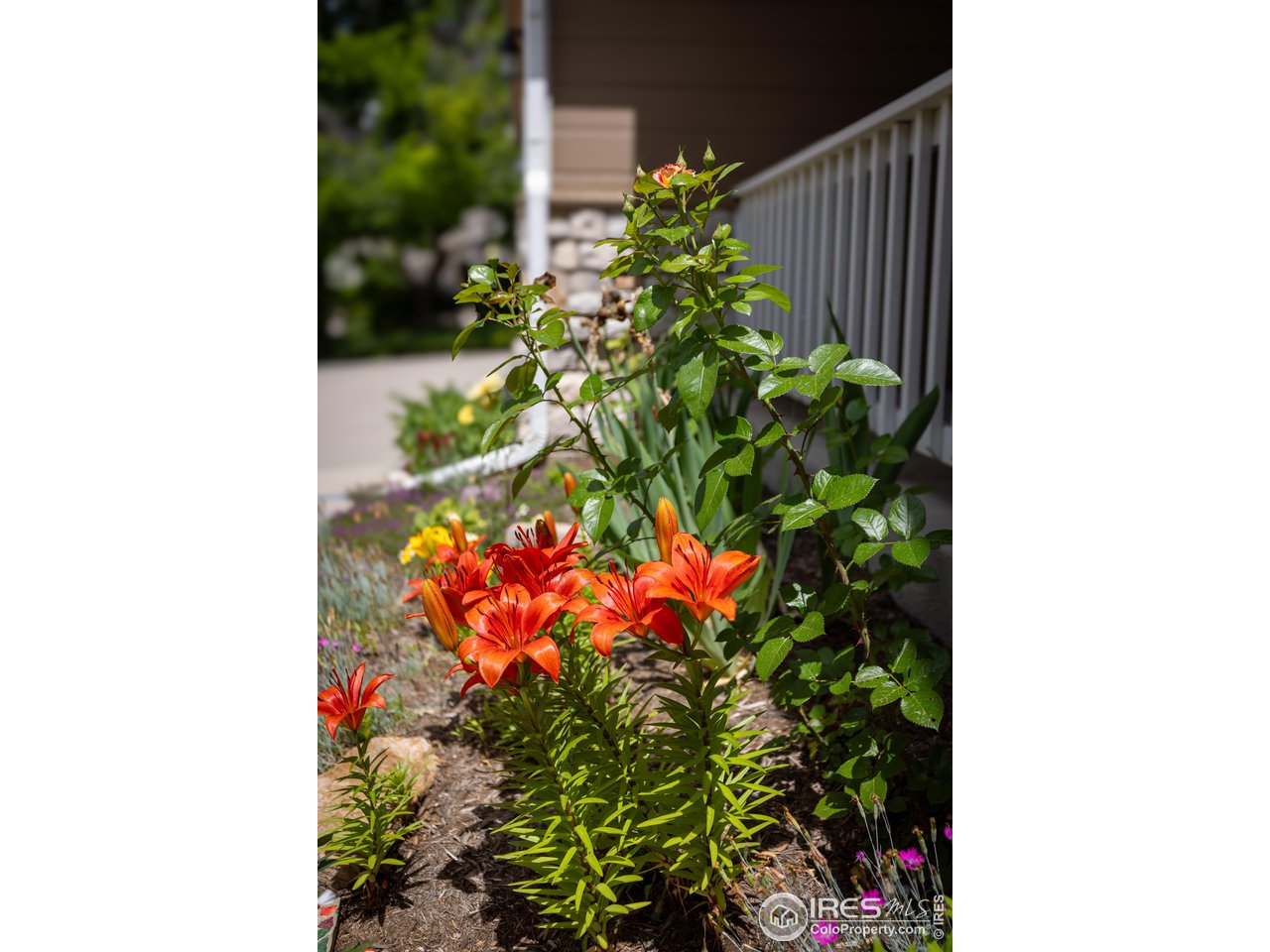 4244 Rolling Gate Road Fort Collins, CO 80526 - Photo 35 of 40 Gallery Image 35