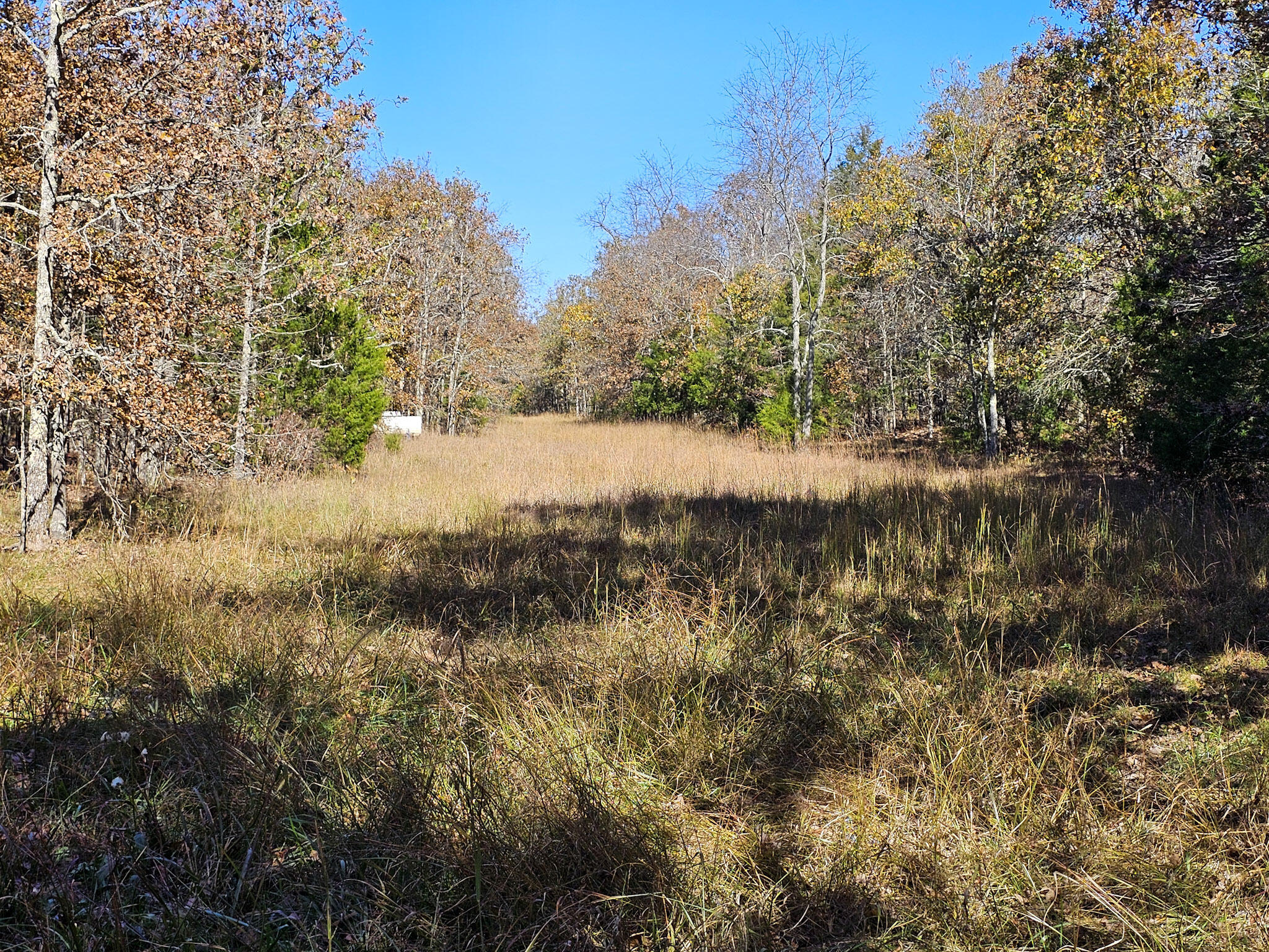 0 State Rte NN Mountain View, MO 65548 - Photo 16 of 21 36-20251103_121124