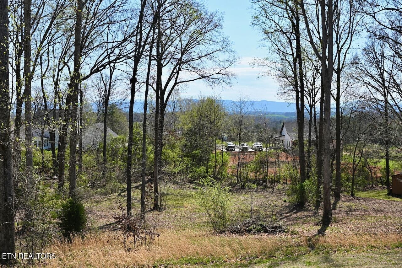 1261 Houston Springs Road Greenback, TN 37742 - Photo 46 of 49 Gallery Image 46