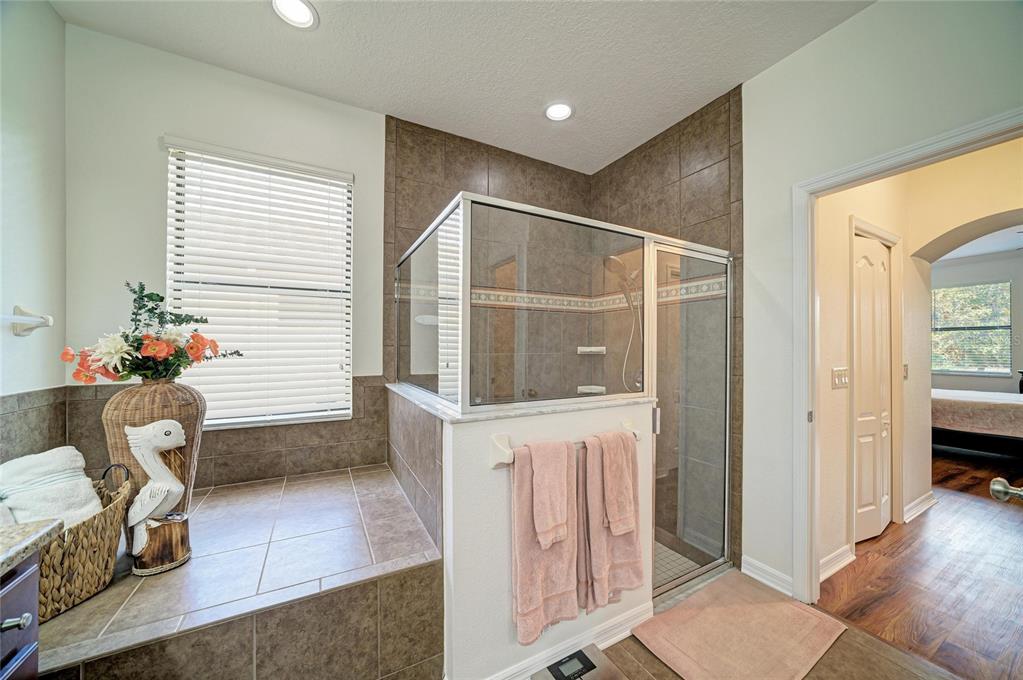 316 Star Shell Drive Apollo Beach, FL 33572 - Photo 30 of 57