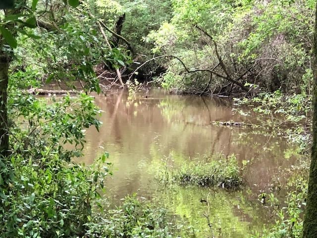 150-ac McDaniel Road Opp, AL 36467 - Photo 15 of 23 Gallery Image 15