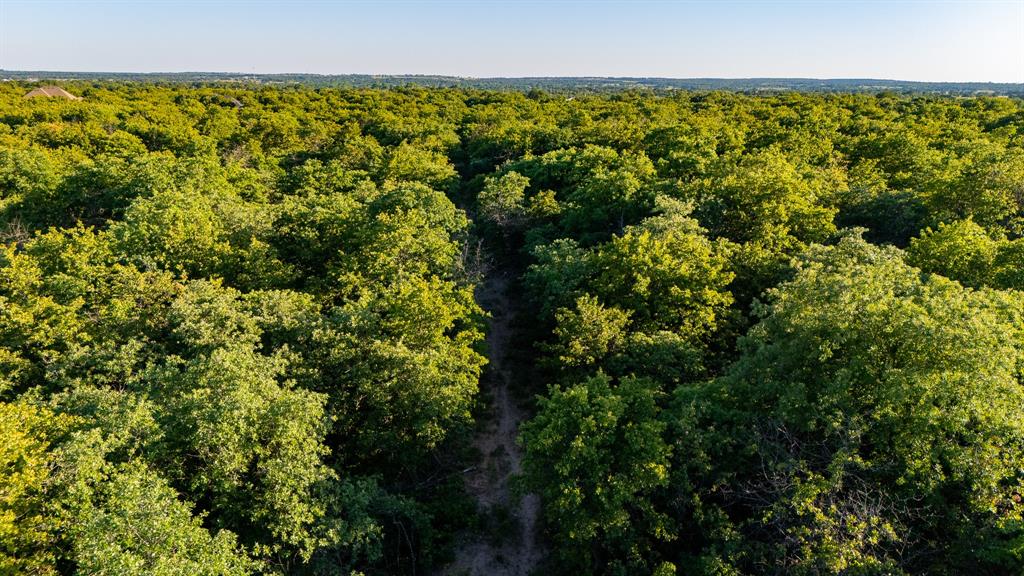 18100 Farm To Market 920 Poolville, TX 76487 - Photo 24 of 32 a view of a bunch of trees