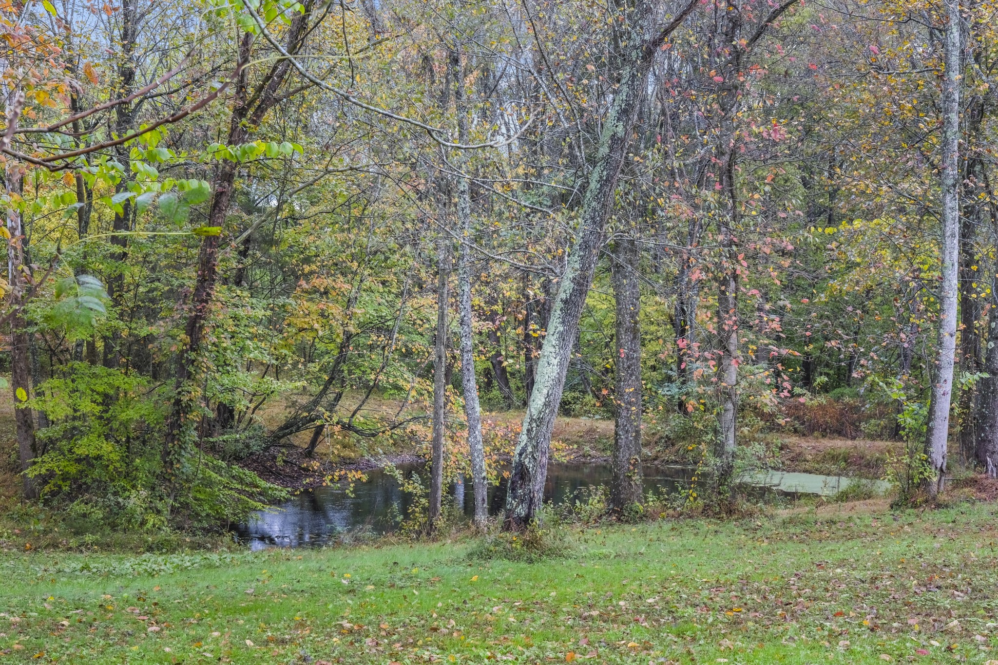 2191 Williams Road Lafayette, TN 37083 - Photo 25 of 30 Gallery Image 25