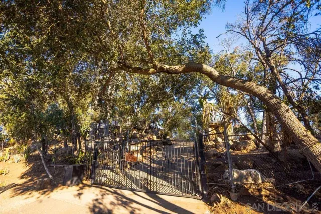 a view of a yard along with potted plants