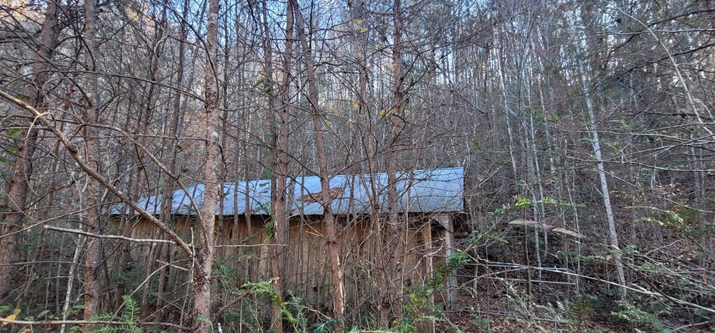 2 Wilhite Road Cosby, TN 37722 - Photo 7 of 24